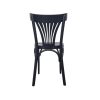 Thonet bentwood café chairs fan back black