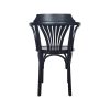 Thon bentwood café armchairs fan back black