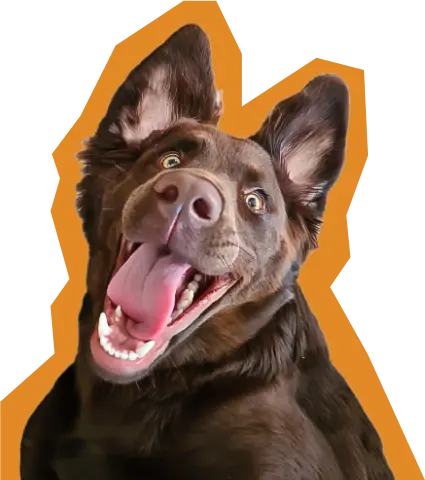 https://super-seat.co.uk/wp-content/uploads/2024/02/nana-happy-3.png